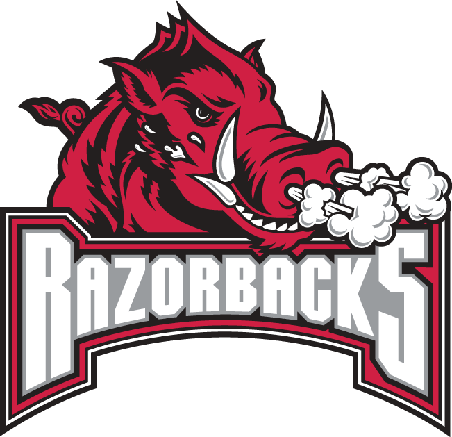 Arkansas Razorbacks 2001-2008 Secondary Logo t shirts iron on transfers v2